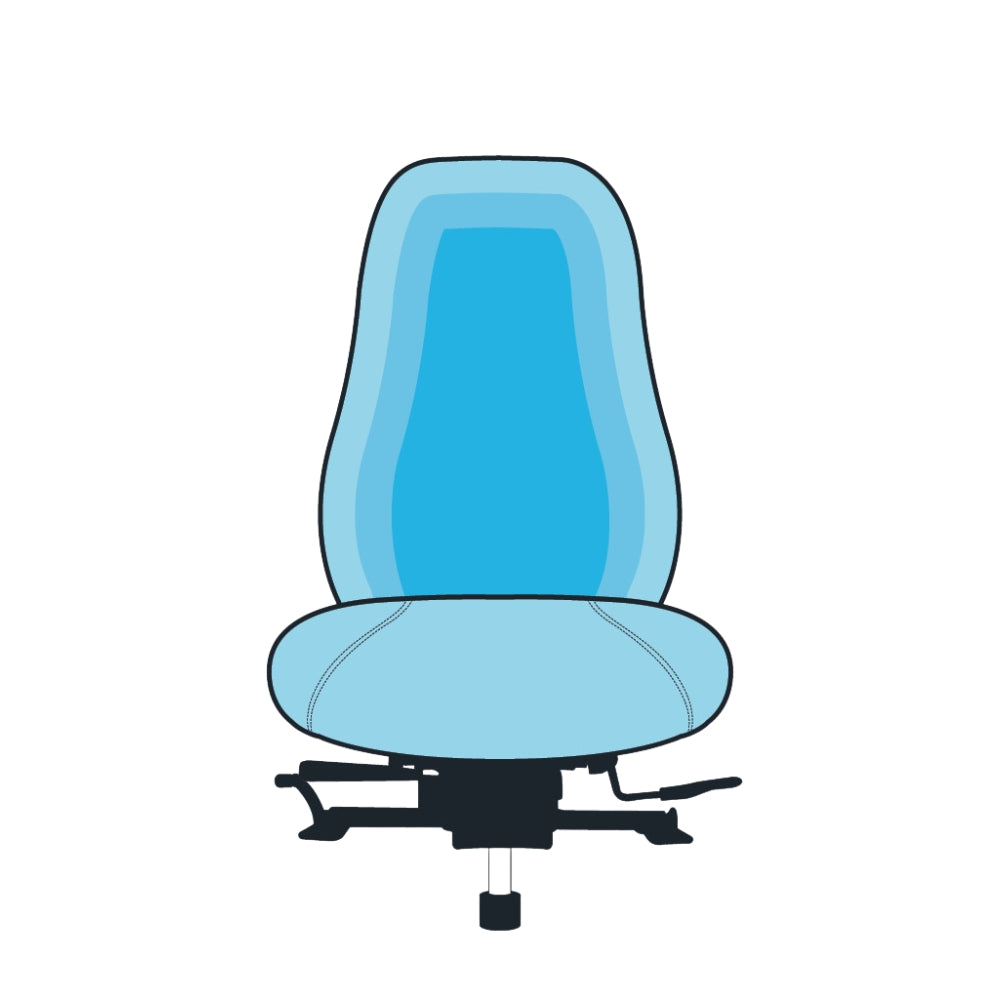 Memory Foam Backrest | WPA India