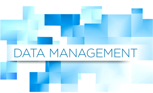Image of a Data Management
