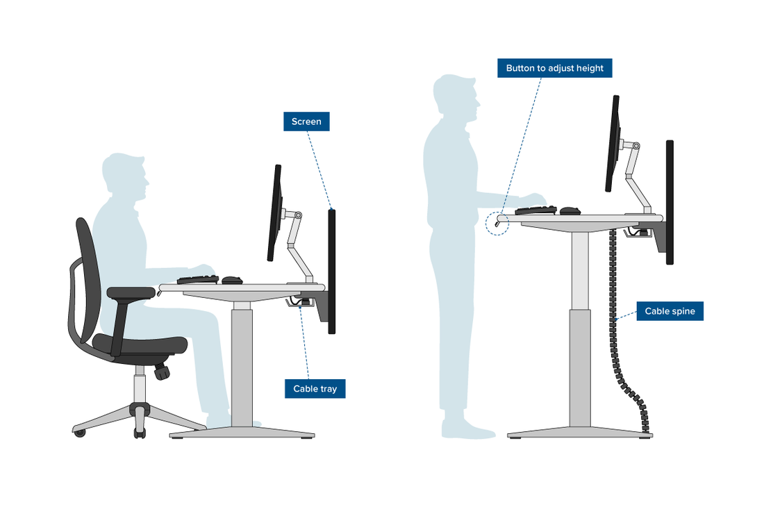 Right posture illustration