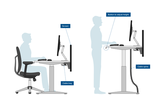 Right posture illustration