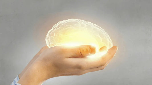 brain in hand with light