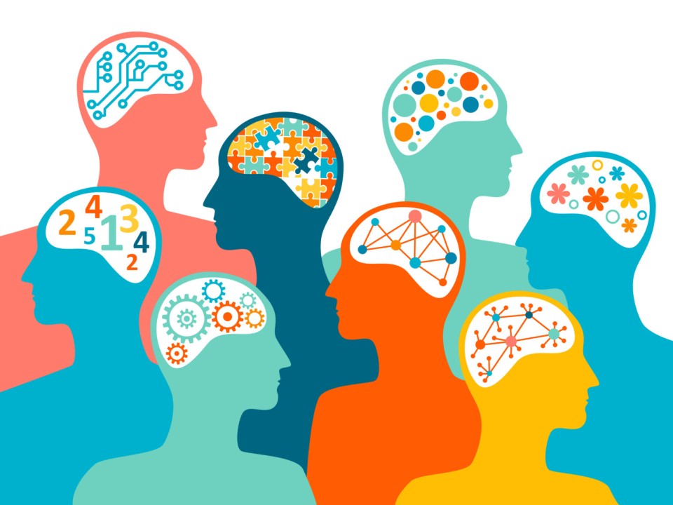 brain system illustration