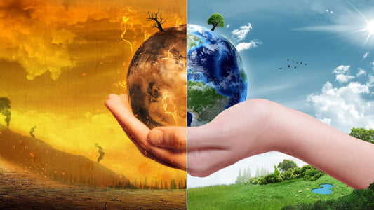 global symbol of climate change