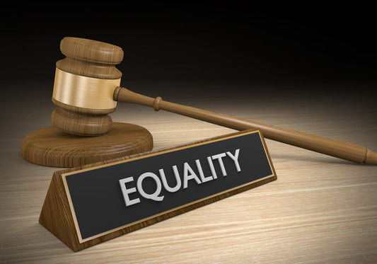 image of a justice hammer with equality sign