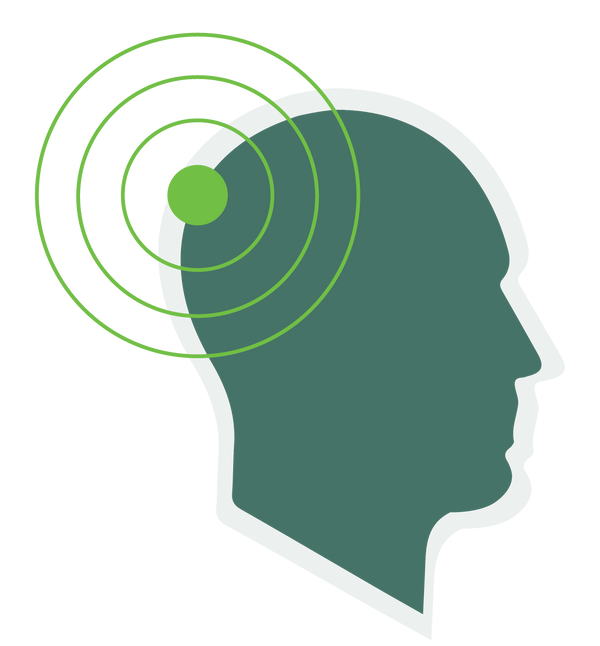 Head Supports