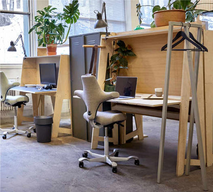 Modern office setup with desks, chairs, and plants in a bright room.