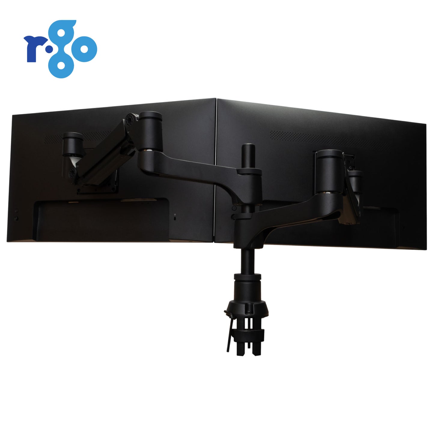R-Go Double Monitor Arm (Caparo) | WPA India