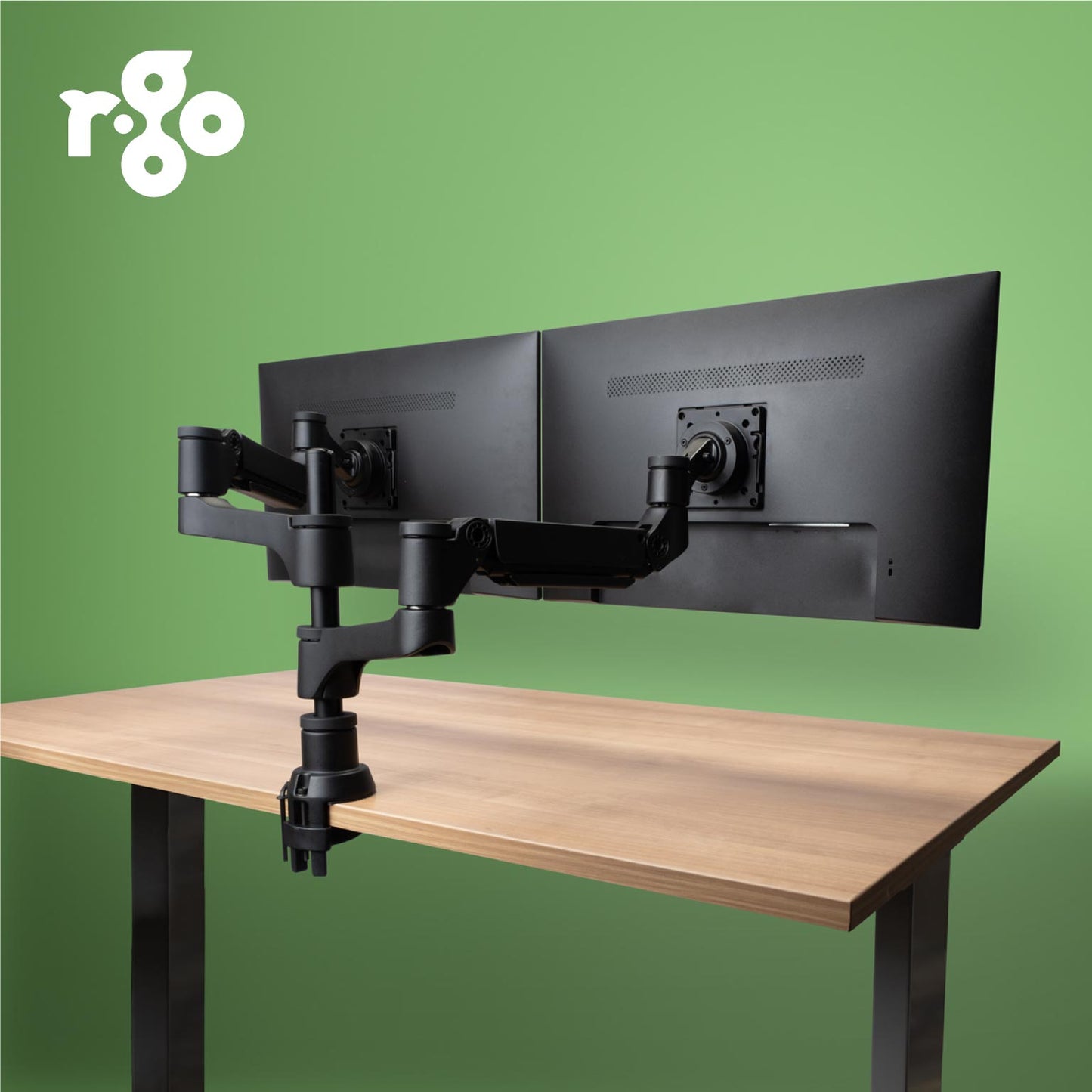 R-Go Double Monitor Arm (Caparo) | WPA India